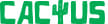 Cactus Casino официальное зеркало